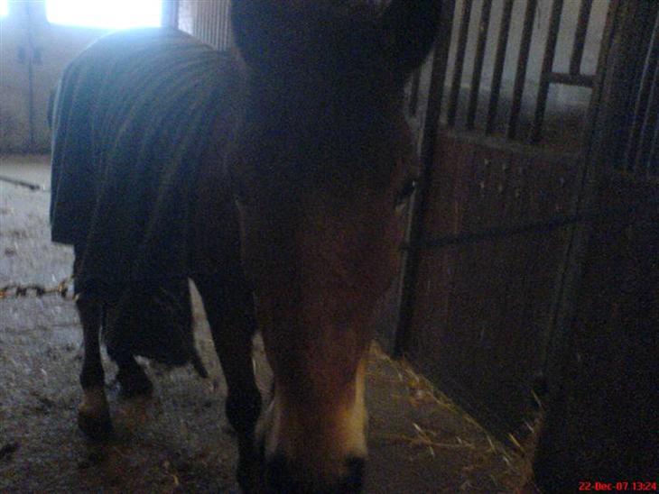 {{currentPhoto.altText}} billede {{currentPhoto.number}}