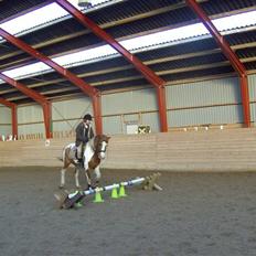 Pinto Indiana Jones Solgt:'(