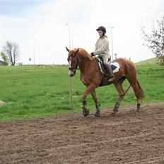 Frederiksborg Fraxinus