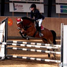 Anden særlig race Miss Flying Daisy