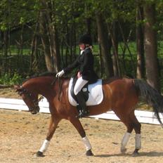 Anden særlig race Lucas ( aflivet)