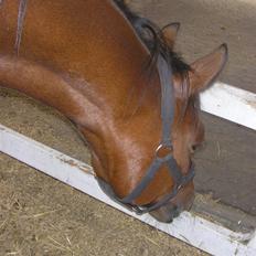 Traver Believe On Me !DØD! :'(