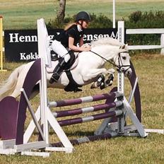 Welsh Mountain (sec A) sun star