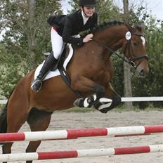 Dansk Varmblod Lea