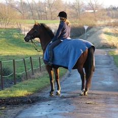 Anden særlig race Valdiné Z