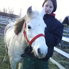 Anden særlig race tommelise aflivet d 25.8.