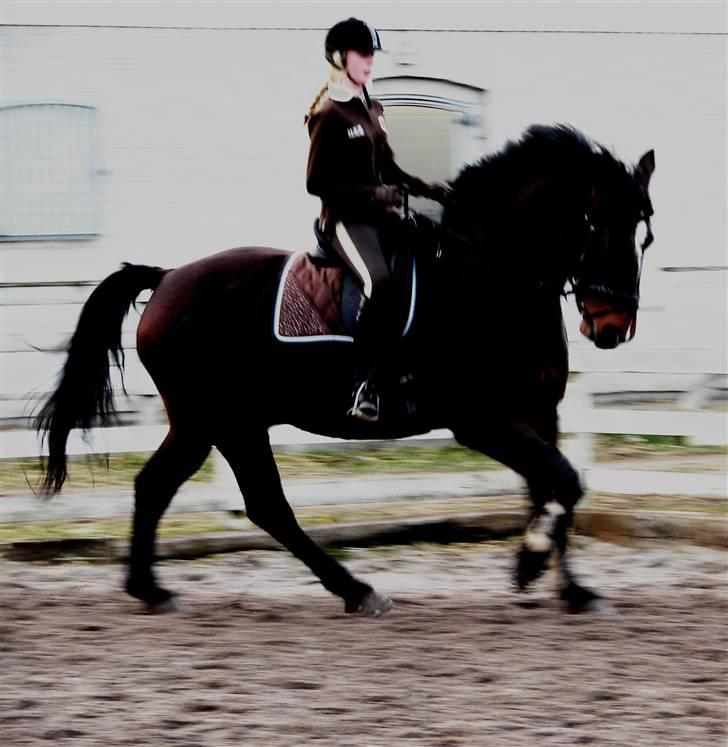 Oldenborg Passat - Cecilie  & Passat billede 14