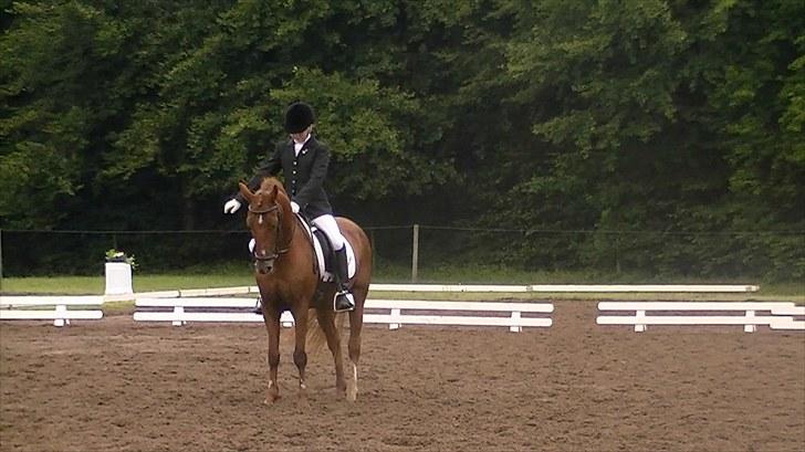 DSP Shanthi R.I.P billede 16