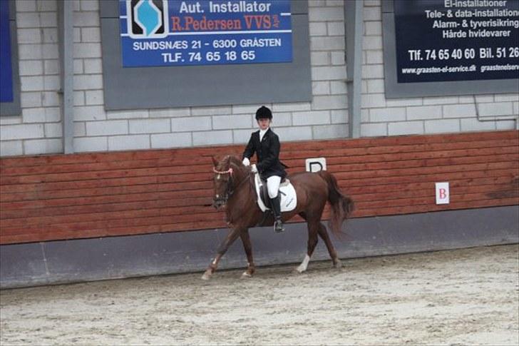 DSP Shanthi R.I.P - foto: Emilie billede 17