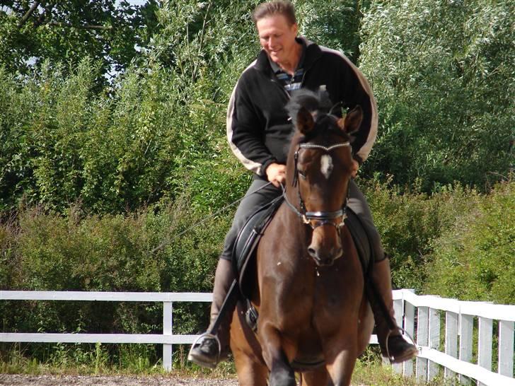 Trakehner  Viva - Viva på ridebanen. billede 2