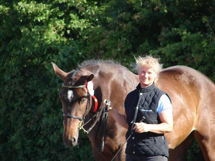 Trakehner  Viva - Viva præmiehoppe 54point 2008  billede 11