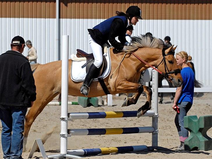 Anden særlig race Molly - Foto Animal-Print billede 19