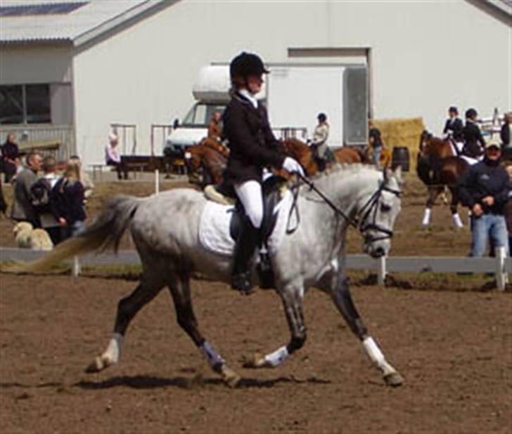 Anden særlig race Lykkelundens Moon Magic  - mig og gille på morsø 2007 billede 5