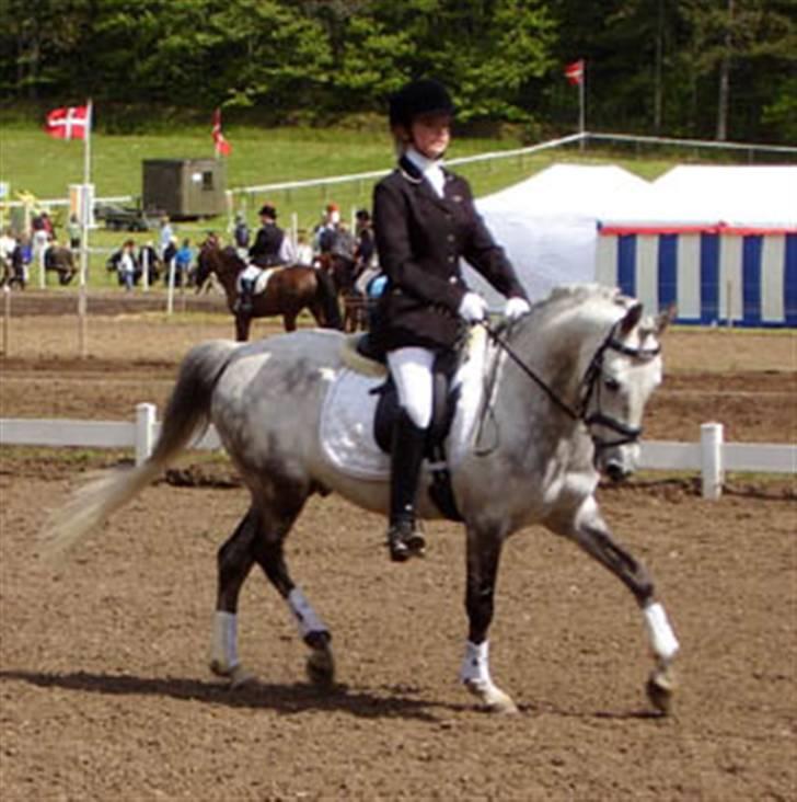 Anden særlig race Lykkelundens Moon Magic  - mig og gille på morsø 07..gode minder:D billede 6