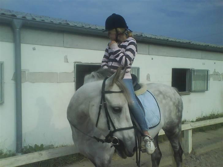 Anden særlig race Lykkelundens Moon Magic  - Min kusine på 11 nyder gerne en dejlig tur på magic<3:D billede 13