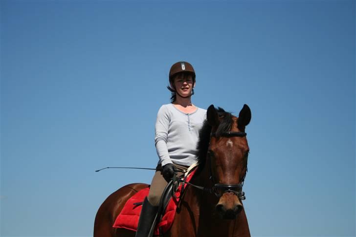 Dansk Varmblod LYKKEHØJS  LUIGI  "SOLGT - En tur i det fri, det kan vi li´  billede 14