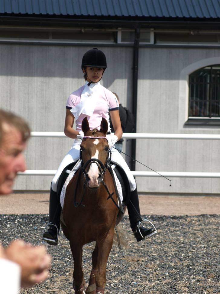 Hollandsk Sportspony Mady B-pony solgt - 15. <3 :) billede 15