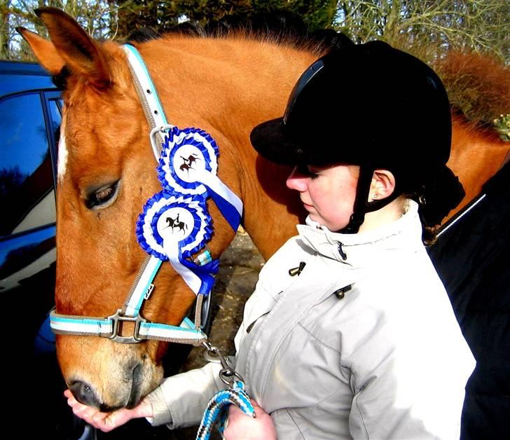 New Forest Baroc SOLGT! :(  - stævne. rideklub vestsjælland. 29/3.08 billede 2