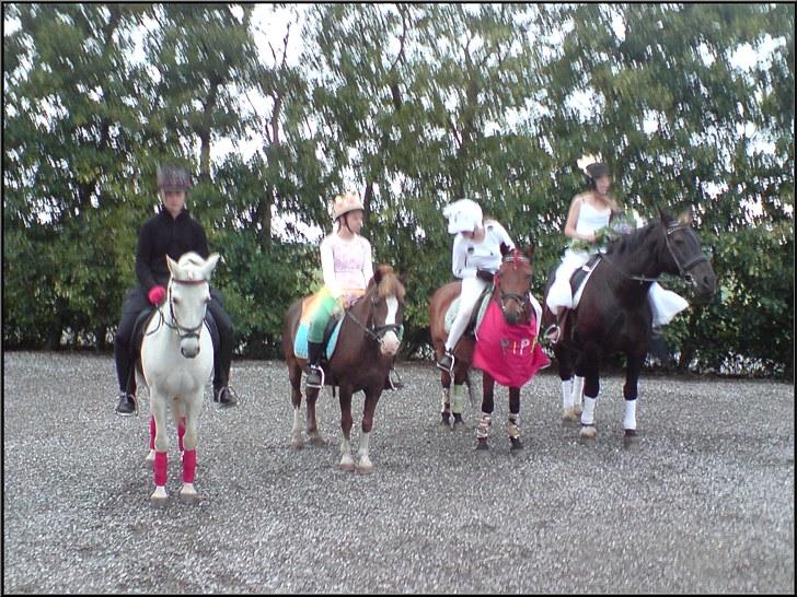 Welsh Mountain (sec A) - Jonathan  - Fre venstre, Josephine og Kashmir, Jonathan og mig, Maria og Diablo og Marie og Falcon. Foto: Mor. billede 17