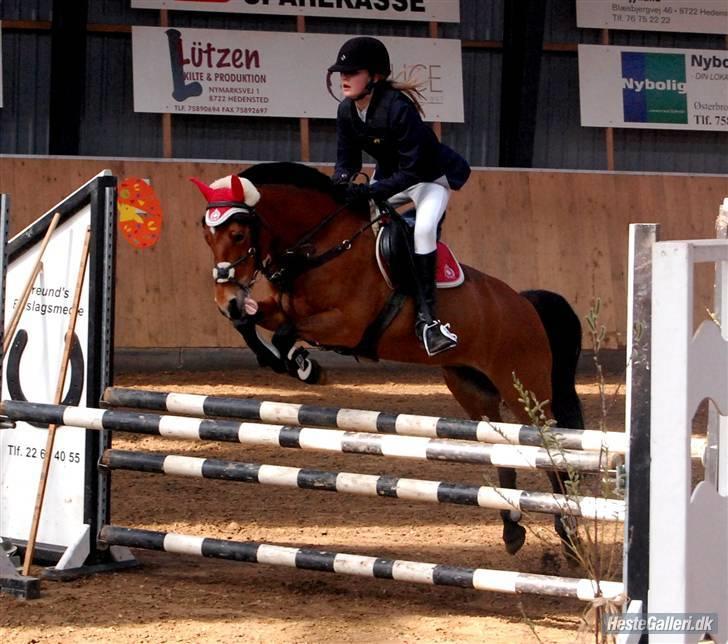 Anden særlig race Miss Flying Daisy - Jeg elsker dig <3 ! billede 1