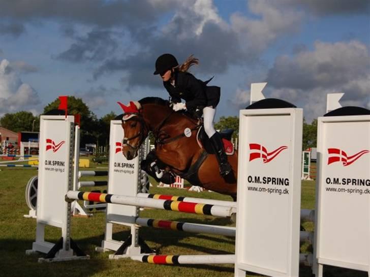 Anden særlig race Miss Flying Daisy - Den dejligste i hygum 09 :) Foto: Maria mols :) billede 2