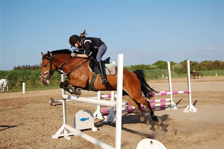 Anden særlig race Miss Flying Daisy - Hoop :D billede 3