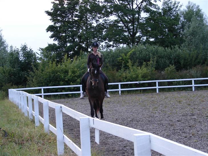 Trakehner  Viva - 2 gang jeg var oppe på Viva :D billede 15