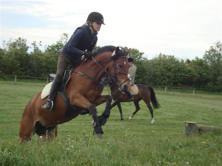 Anden særlig race Miss Flying Daisy - Banket :D Foto: Nathalie :) billede 5