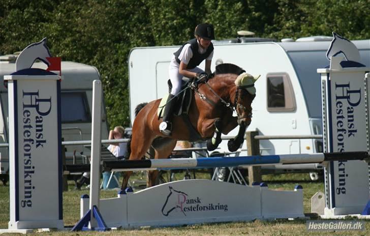 Anden særlig race Miss Flying Daisy - La :D billede 6