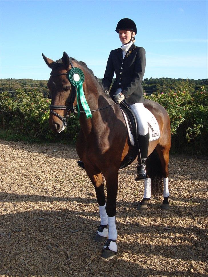 DSP Krogårdens Hunter - Vélkommen til Hunter´s profil.. billede 1