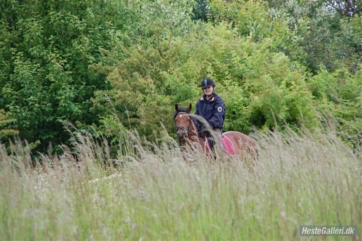 Anden særlig race Miss Flying Daisy - Jeg elsker dig :) billede 7