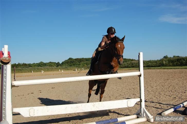 Anden særlig race Miss Flying Daisy - 130cm :O Foto: Wannerbe<3 billede 8