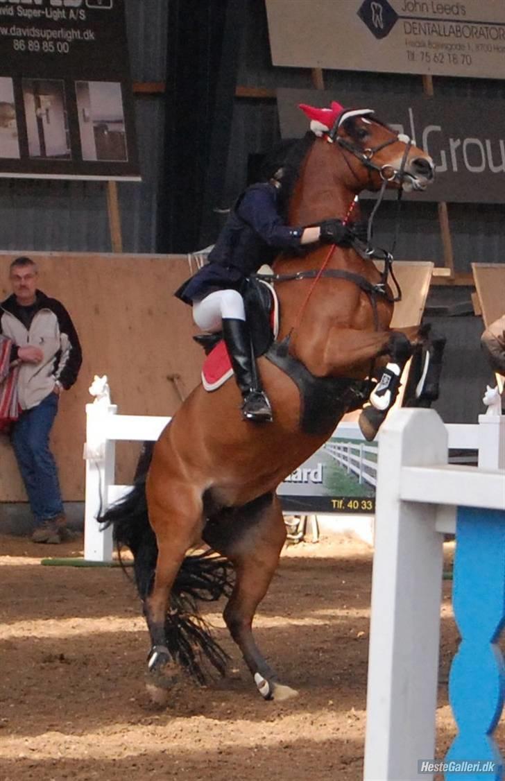 Anden særlig race Miss Flying Daisy - Jaja, det kan godt være din pony kan gå S, men min pony kan altså stå på 1 ben x´D billede 9