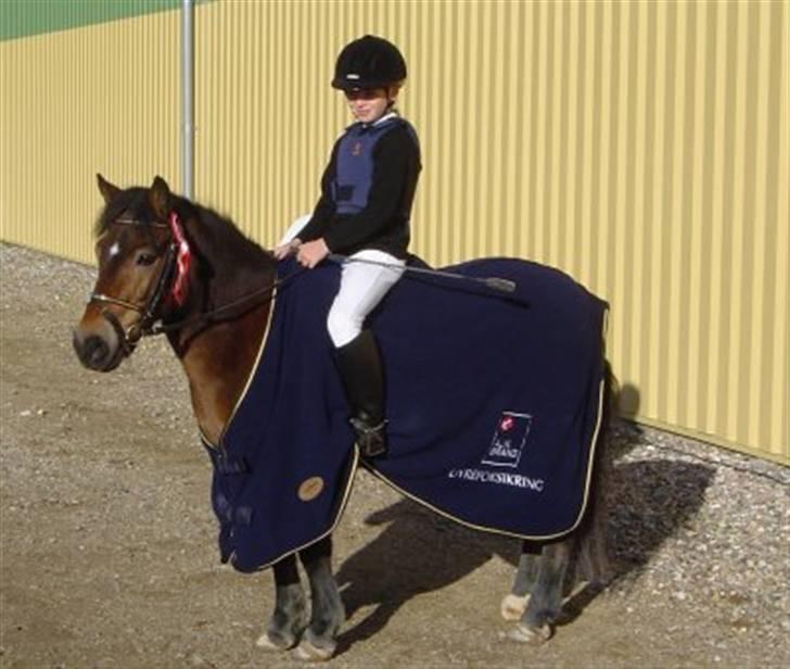 Anden særlig race Lukas - Lille Lukas i et kæmpe dækken  billede 1