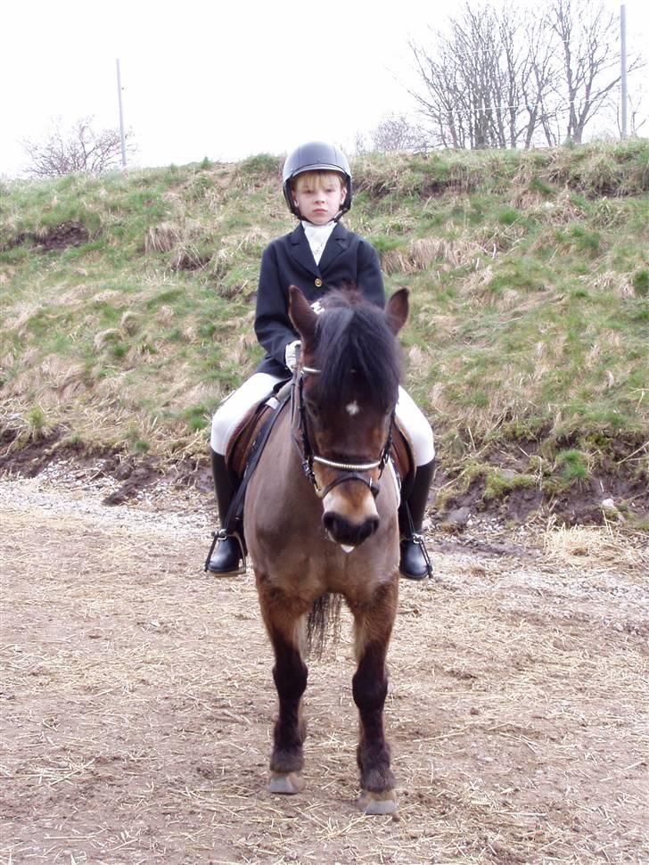 Anden særlig race Lukas billede 2