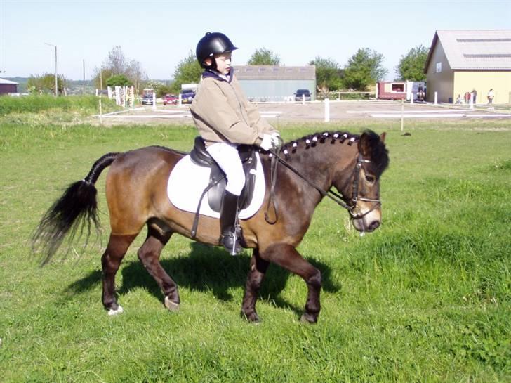 Anden særlig race Lukas billede 3