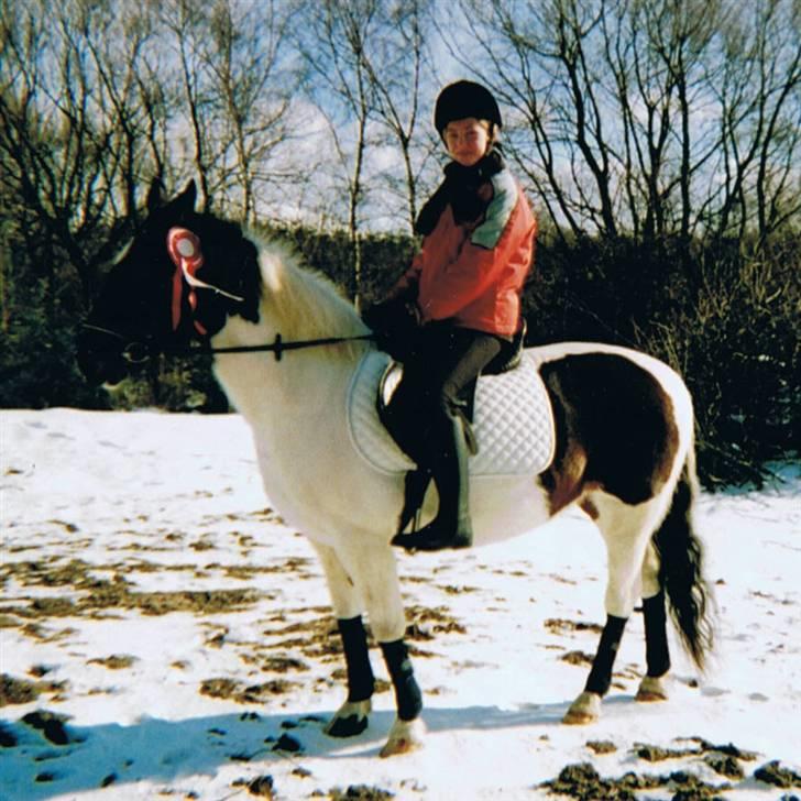 Pinto Puk *Solgt* - Gammelt billede... Foto: min mor billede 10
