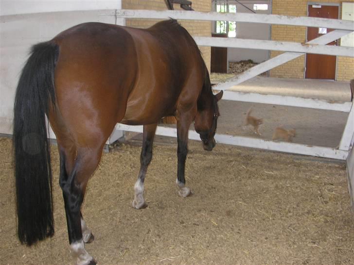 Traver Believe On Me !DØD! :'( - De killinger ser bare sjove ud, hva Believe.. billede 5