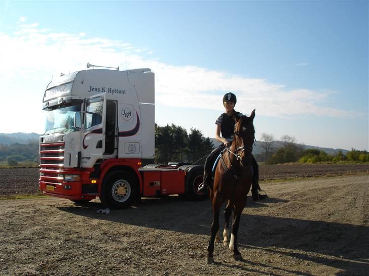 Anden særlig race De Light - Vi er hjemme . Gud hvor jeg bare elsker den hest! Virkelig han er bare for dejlig, han er perfekt!<33 billede 11