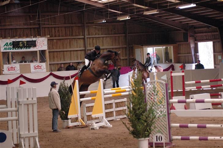 Holstener Nirvana-Vitz billede 1