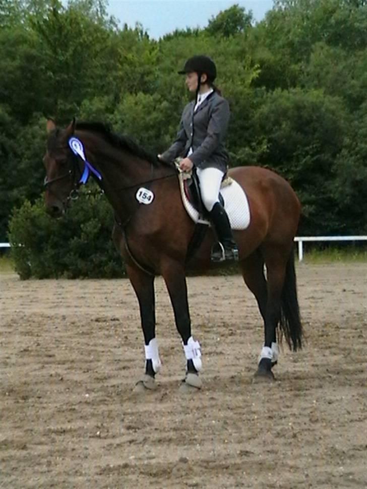 Holstener Nirvana-Vitz - Til præmieoverrækkelse til sjællandsmesterskaberne 2007 for ungryttere billede 3