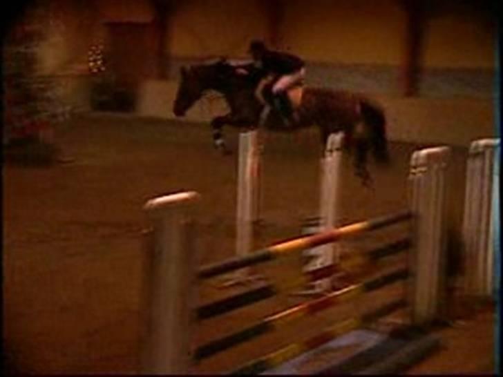 Holstener Nirvana-Vitz - Lidt mørkt :-( billede 4