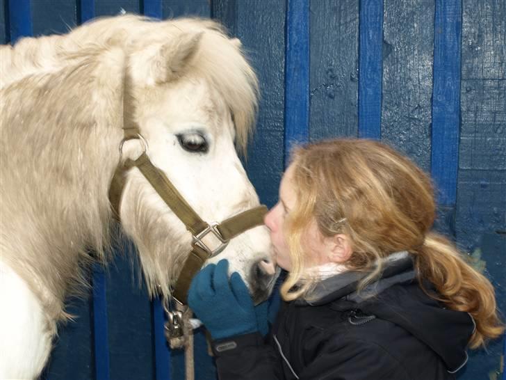 Shetlænder Onslow<3*død* - <´3 muller dyr elsker dig fan´me <´3savner dig billede 18