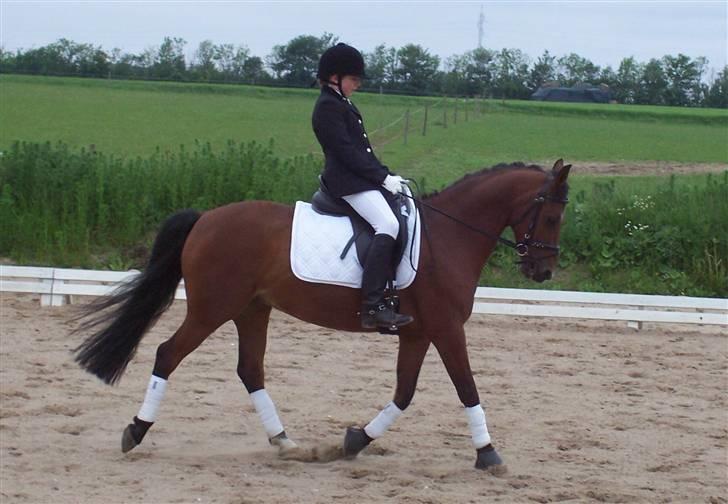 Anden særlig race Dubonet<3 r.i.p. hvorfor? - mig og dubo, har kun haft ham en måned;) billede 1