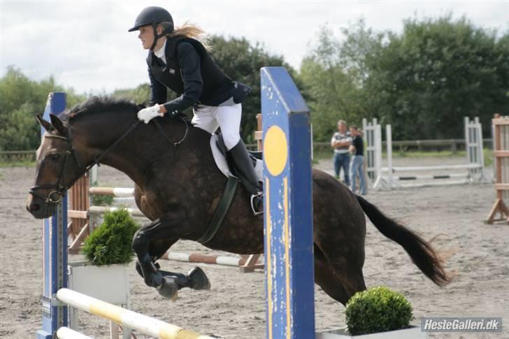 Anden særlig race » Elvis R.I.P - 1 ¬ LD RAR 17 Aug 2008. Malene Markmann billede 1