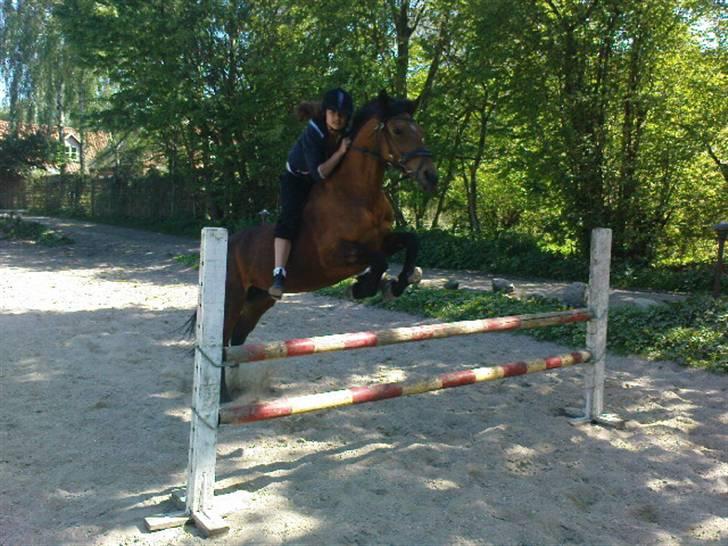 Anden særlig race Flying Mizty - :P taget af: suz billede 13