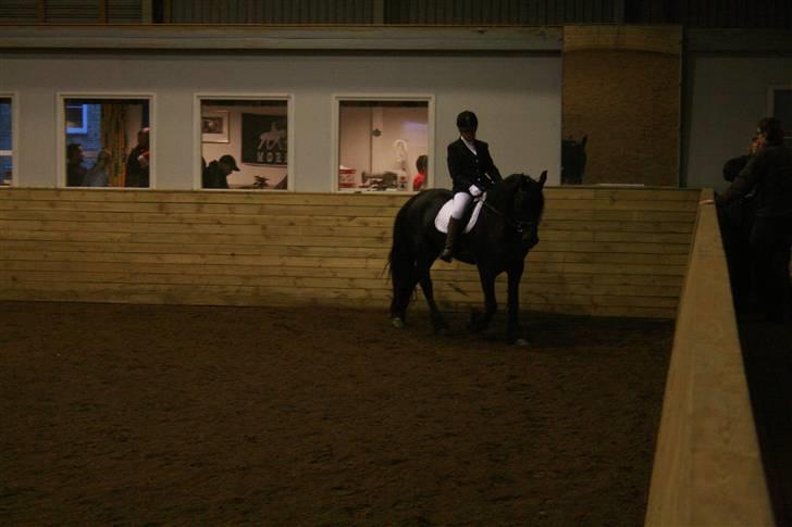 Frieser Nelly. (Solgt) - trav i MORK. billede 4