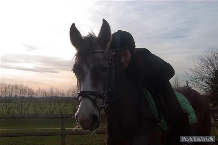 Anden særlig race Pepsi (solgt) - har lige fået hende der <3 billede 7