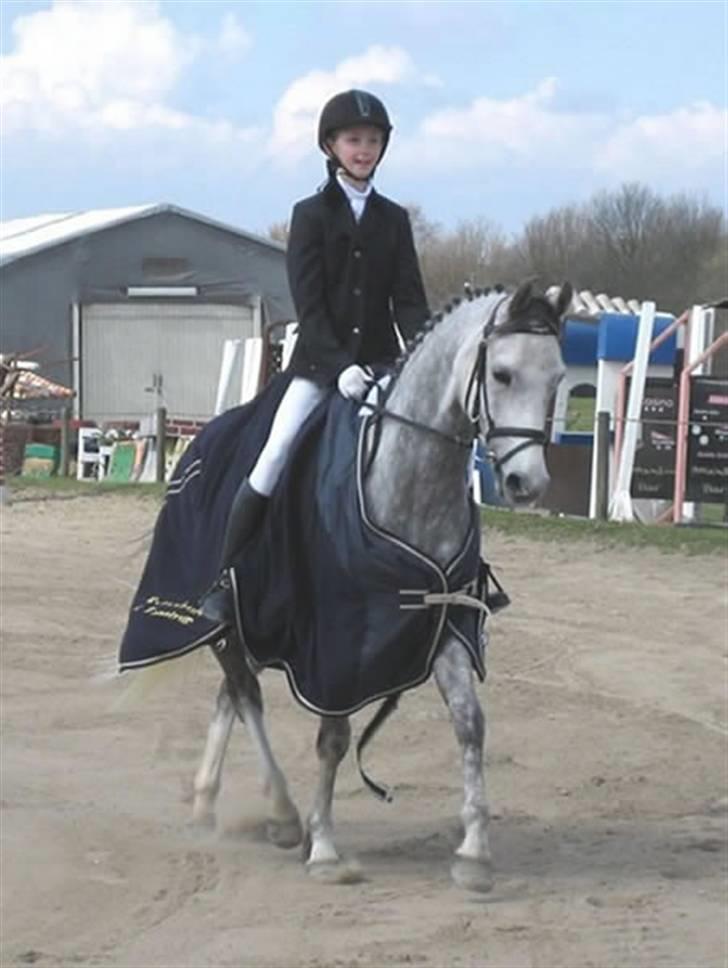 Welsh Partbred (Sec F) Lyngvejens Kenzo *SOLGT* - Æresrunde til klubmesterskabet 2006 billede 18