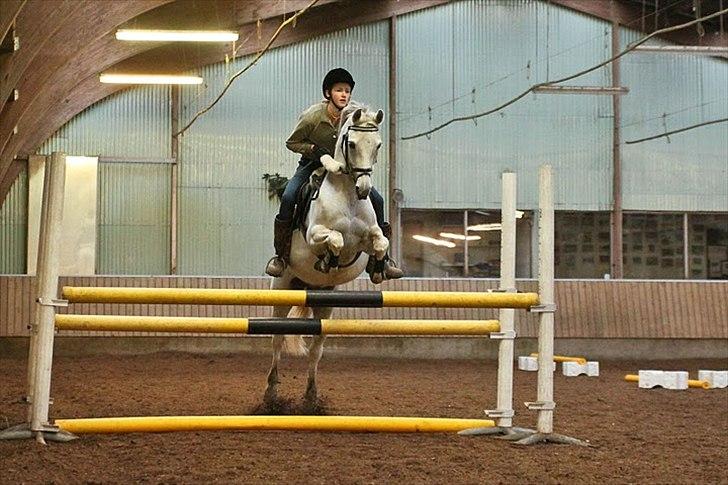 Welsh Partbred (Sec F) Lyngvejens Kenzo *SOLGT* - Billede taget af Katrine Zinck - Mig og Kenzo d. 6/2-2010 - Springer 1 meter oxe :) billede 20